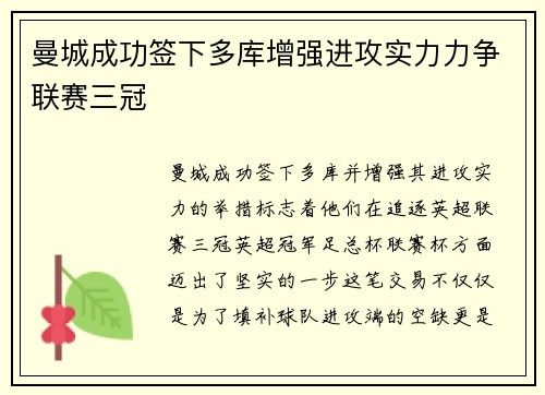 曼城成功签下多库增强进攻实力力争联赛三冠